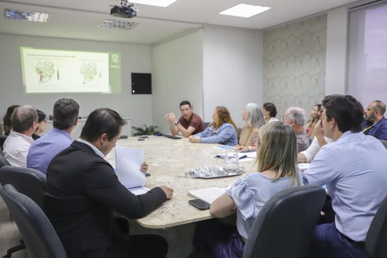 Mosquitos combatem dengue em Curitiba