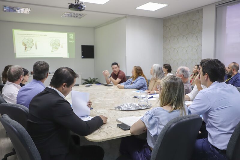 Mosquitos combatem dengue em Curitiba