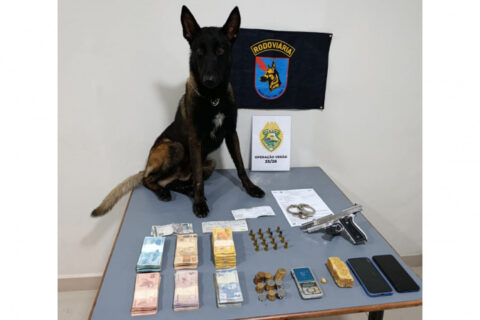 Olho Vivo captura traficantes em Guaratuba