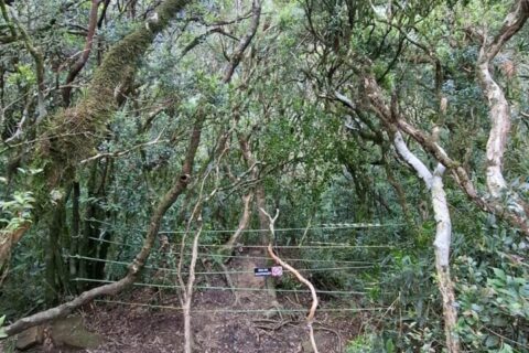 Trilha de Perdidos interditada após desaparecimento