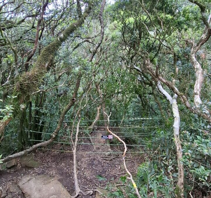 Trilha de Perdidos interditada após desaparecimento