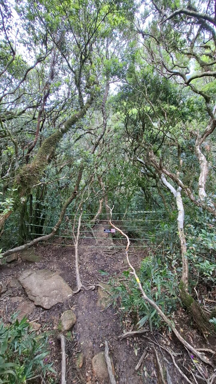 Trilha de Perdidos interditada após desaparecimento