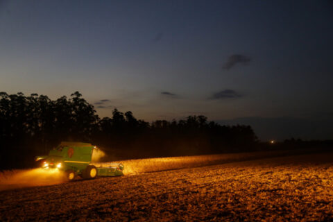 Paraná prorroga plantio de soja para sementes