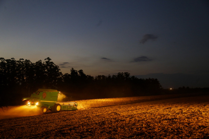 Paraná prorroga plantio de soja para sementes
